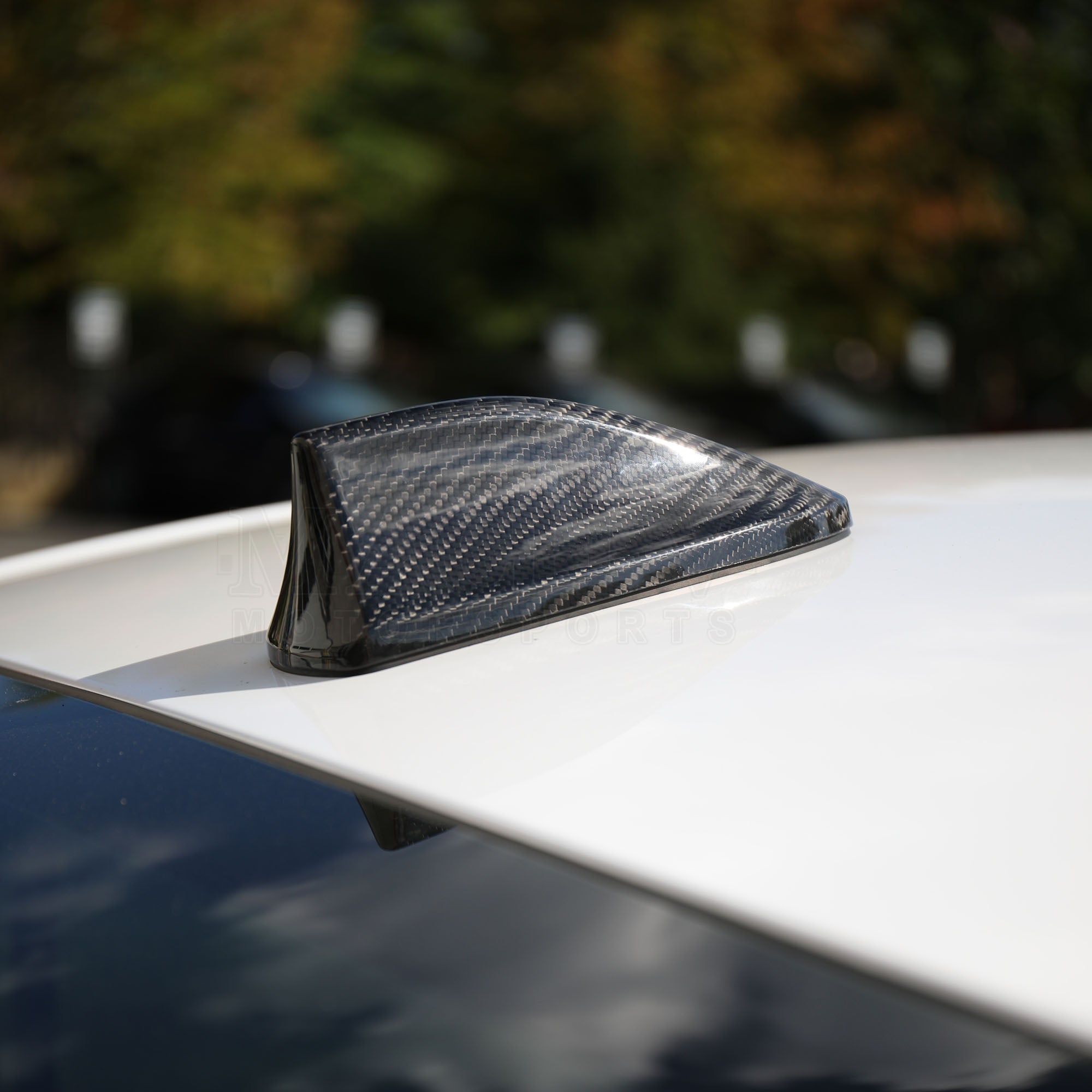 Dry Carbon Antenna Cover 2022+ WRX/BRZ